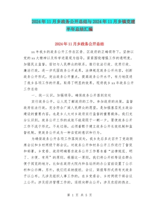 2024年11月乡政务公开总结与2024年11月乡镇党建半年总结汇编