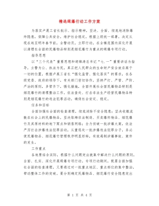 缉爆行动工作方案