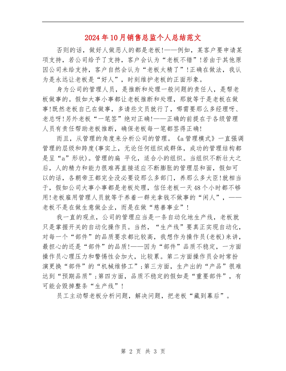 2024年10月销售总监个人总结范文_第2页
