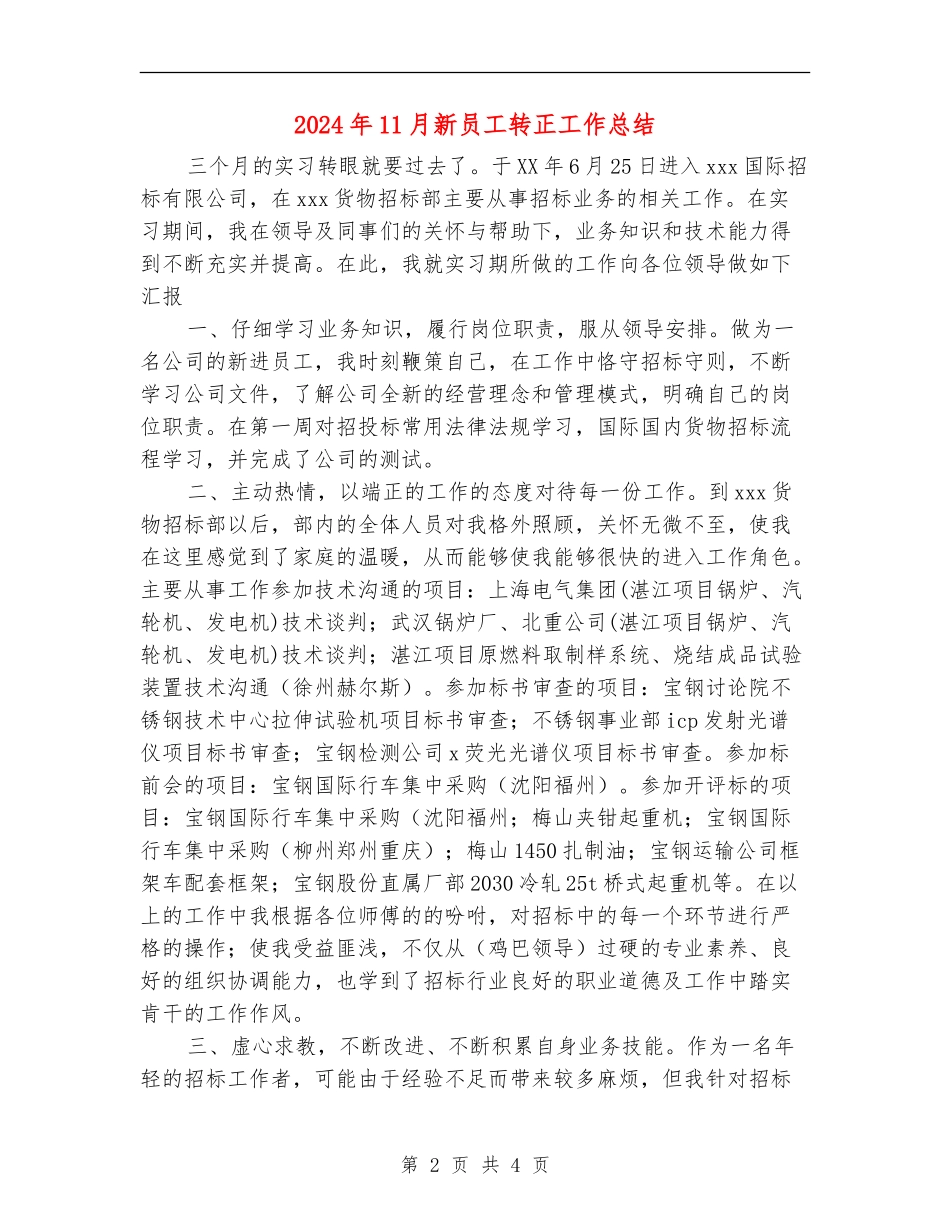 2024年11月新员工转正工作总结_第2页