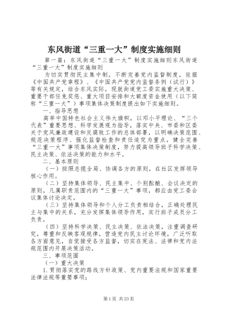 东风街道“三重一大”规章制度实施细则