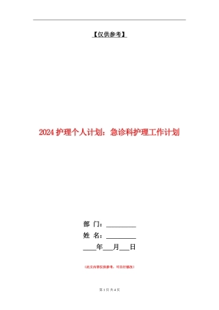 2024护理个人计划：急诊科护理工作计划