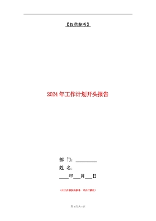 2024年工作计划开头报告