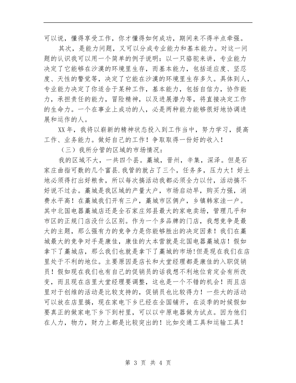 市场推广员个人工作总结范文_第3页