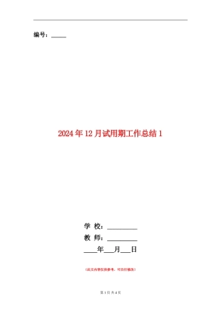 2024年12月试用期工作总结1