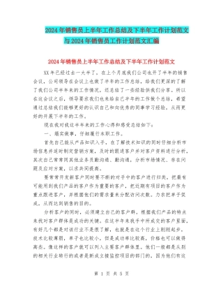 2024年销售员上半年工作总结及下半年工作计划范文与2024年销售员工作计划范文汇编