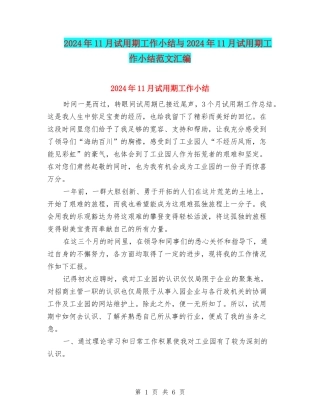 2024年11月试用期工作小结与2024年11月试用期工作小结范文汇编