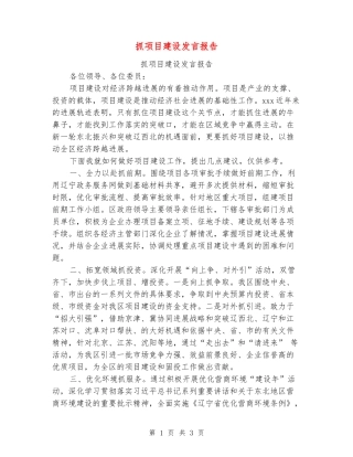 抓项目建设发言报告