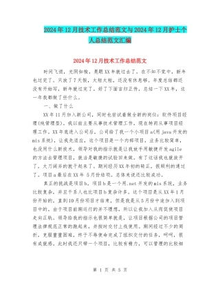 2024年12月技术工作总结范文与2024年12月护士个人总结范文汇编