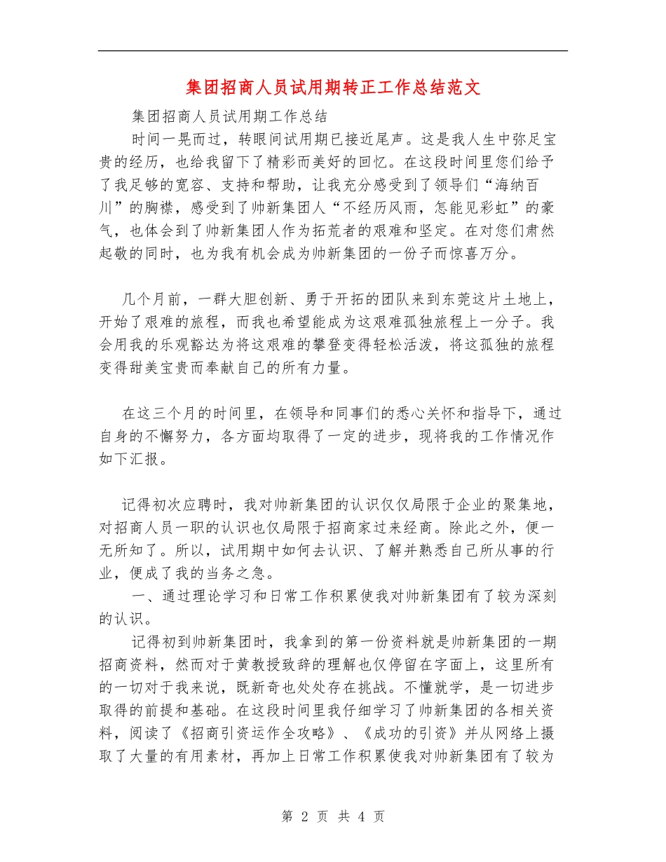 集团招商人员试用期转正工作总结范文_第2页