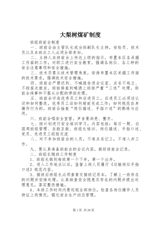 大梨树煤矿规章制度
