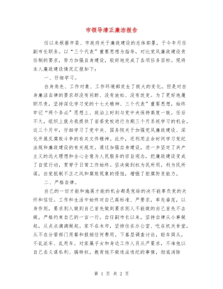 市领导清正廉洁报告