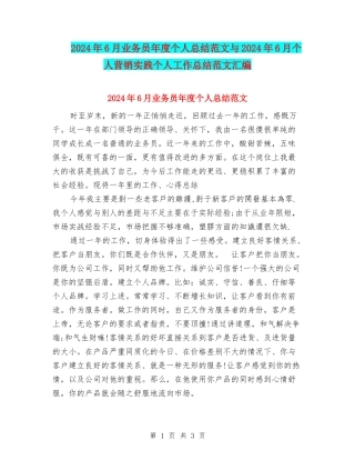 2024年6月业务员年度个人总结范文与2024年6月个人营销实践个人工作总结范文汇编