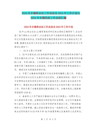 2024年乡镇林业站工作总结及2024年工作计划与2024年乡镇民政工作总结汇编