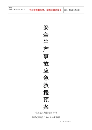 蓝鼎-滨湖安全生产事故应急救援预案