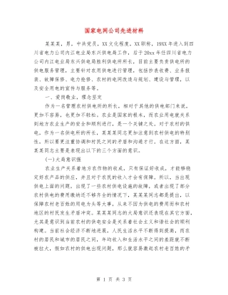 国家电网公司先进材料