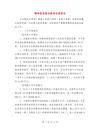 精神患者救治救助自查报告