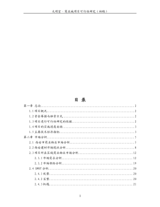 西安某商业城项目可研报告