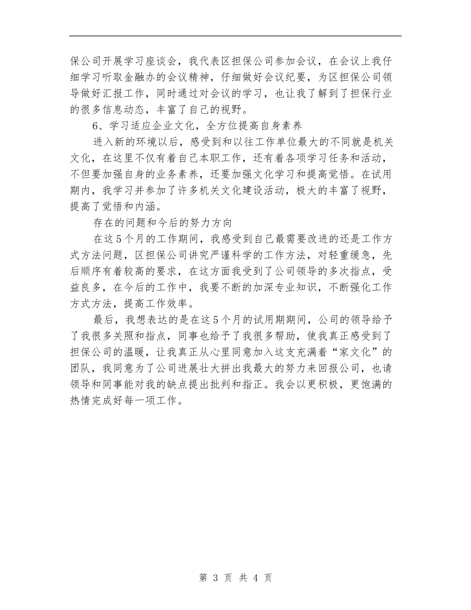 2024年借贷员试用期转正工作总结范文_第3页