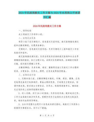 2024年民政局救灾工作方案与2024年水利局公开承诺书汇编