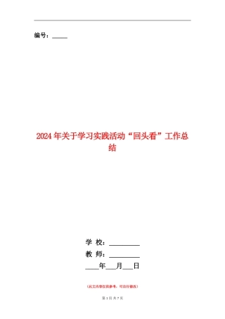 2024年关于学习实践活动“回头看”工作总结