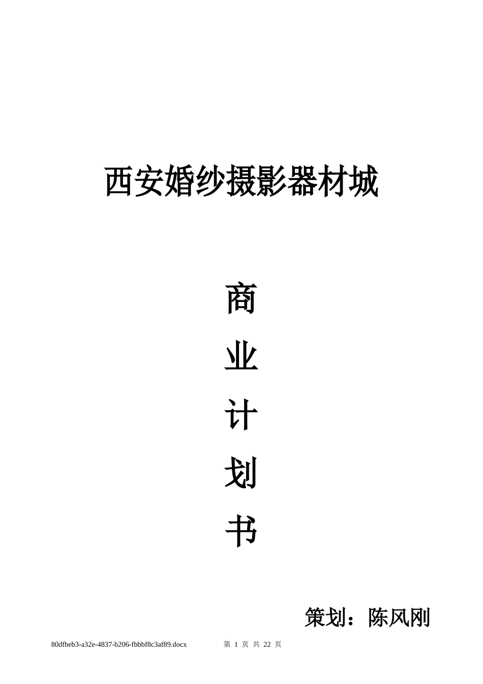 西安照材市场策划方案-合作版(1)_第1页