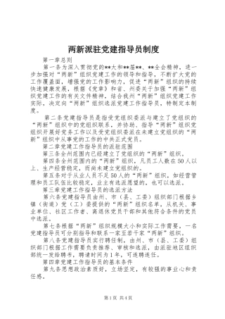 两新派驻党建指导员规章制度