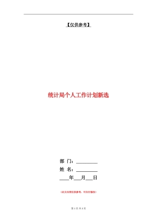 统计局个人工作计划新选