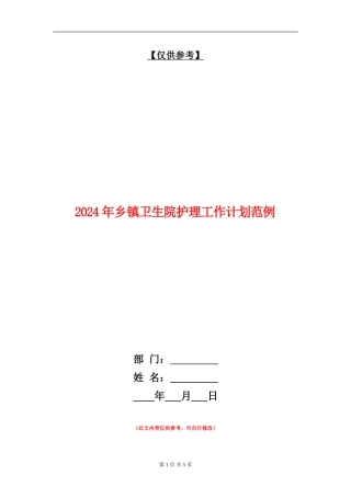 2024年乡镇卫生院护理工作计划范例