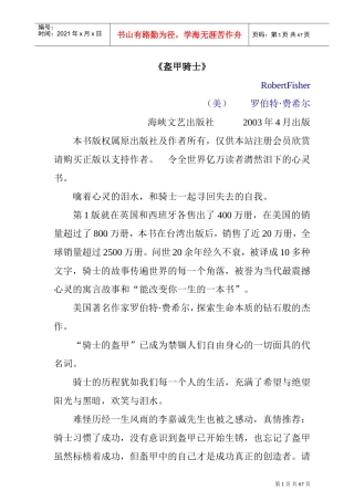 罗伯特;费希尔盔甲骑士