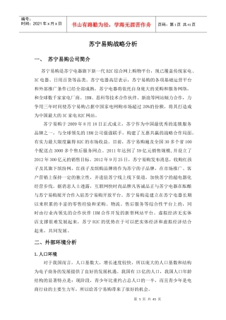 苏宁易购战略分析