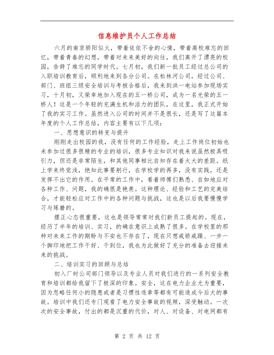 信息维护员个人工作总结_第2页