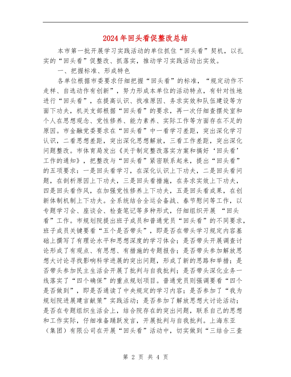 2024年回头看促整改总结_第2页