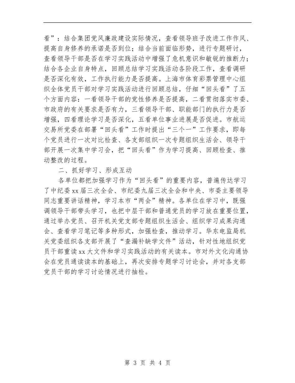 2024年回头看促整改总结_第3页