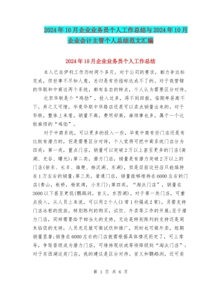 2024年10月企业业务员个人工作总结与2024年10月企业会计主管个人总结范文汇编