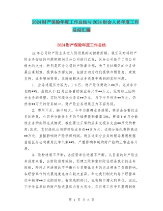 2024财产保险年度工作总结与2024财会人员年度工作总结汇编