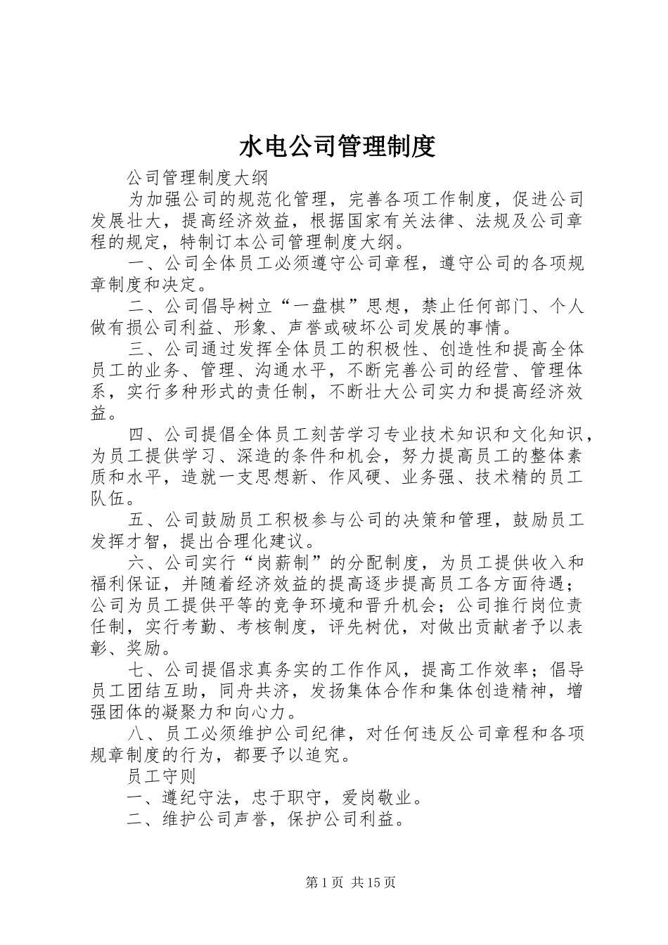 水电公司管理规章制度 _第1页
