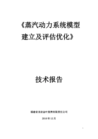 蒸汽动力系统模型建立及评估优化技术报告