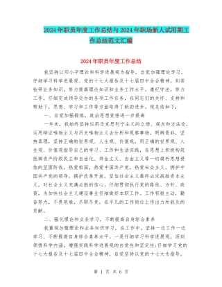 2024年职员年度工作总结与2024年职场新人试用期工作总结范文汇编