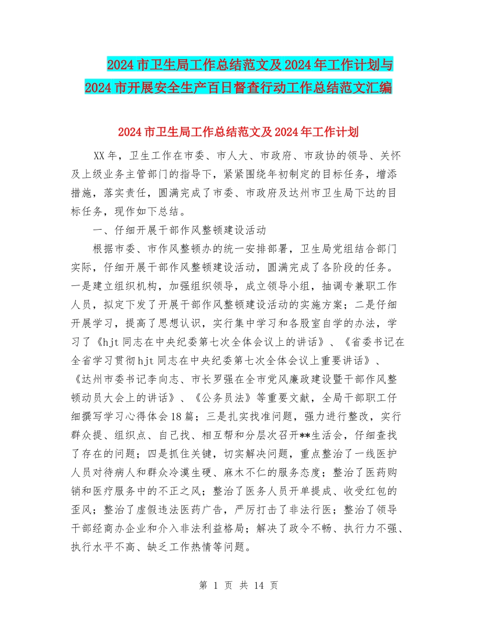 2024市卫生局工作总结范文及2024年工作计划与2024市开展安全生产百日督查行动工作总结范文汇编_第1页