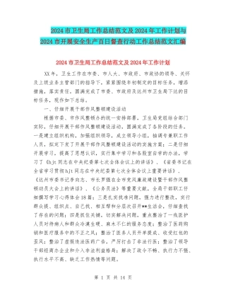 2024市卫生局工作总结范文及2024年工作计划与2024市开展安全生产百日督查行动工作总结范文汇编