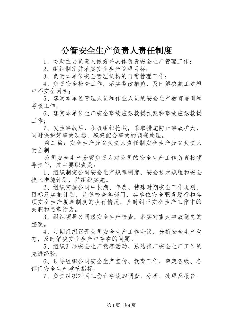 分管安全生产负责人责任规章制度_第1页