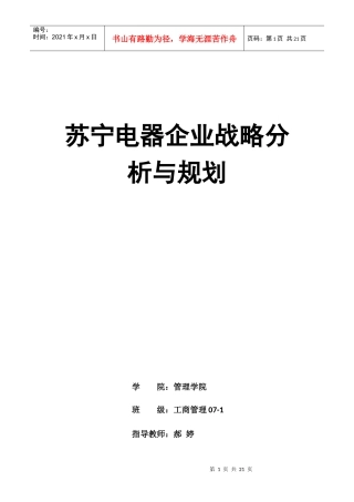 苏宁电器企业战略分析与规划