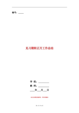 见习期转正月工作总结