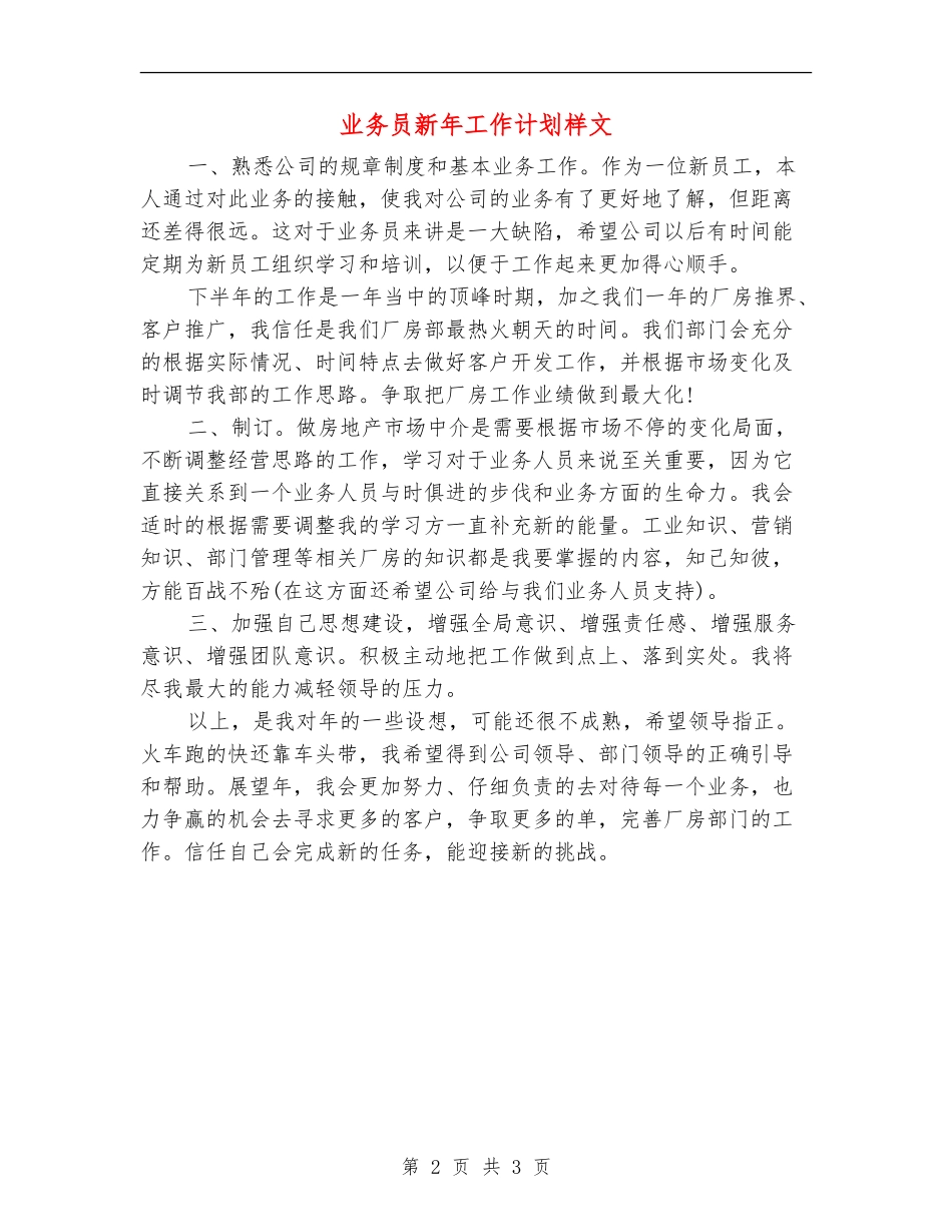 业务员新年工作计划样文_第2页