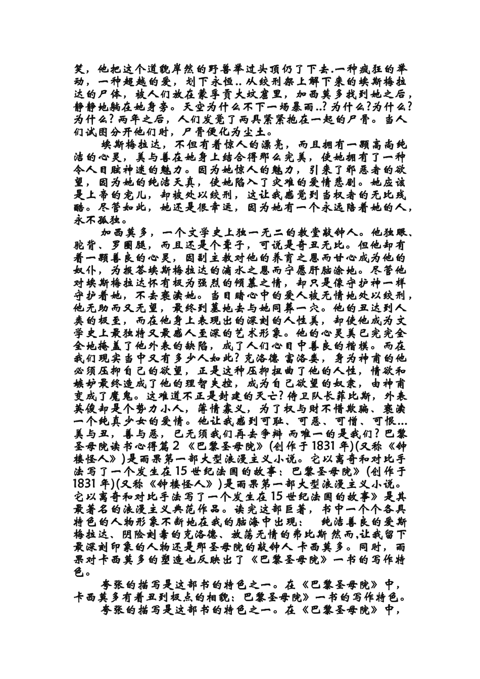 4000字巴黎圣母院读书心得_第3页