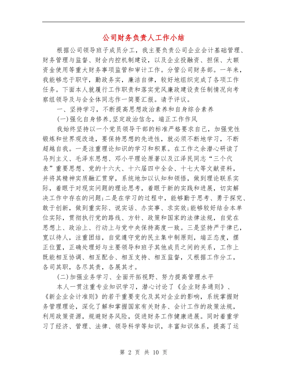 公司财务负责人工作小结_第2页