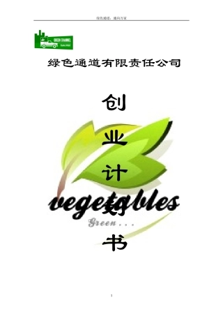 绿色通道公司创业计划书
