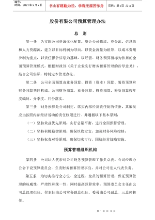 股份有限公司预算管理办法