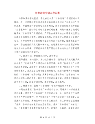 打非治违行动工作汇报